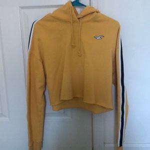 hollister cropped hoodie